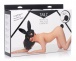 Tailz - 兔子尾巴后庭塞及面罩套装 - 黑色 照片-4